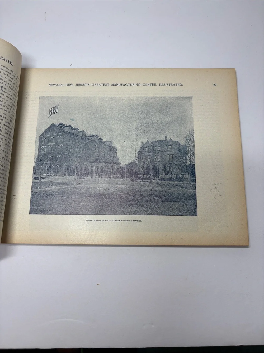 Newark Handsomely Illustrated Book 1894